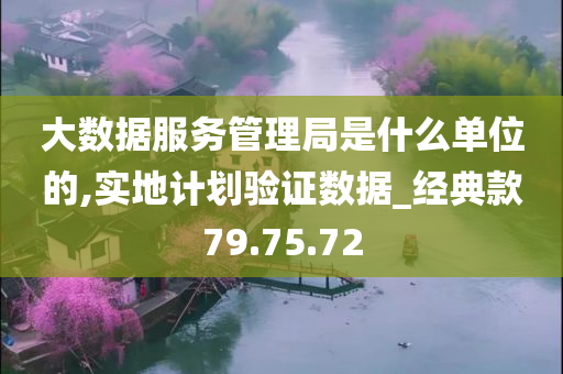 大数据服务管理局是什么单位的,实地计划验证数据_经典款79.75.72