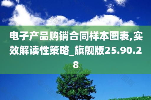 电子产品购销合同样本图表,实效解读性策略_旗舰版25.90.28