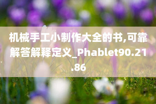 机械手工小制作大全的书,可靠解答解释定义_Phablet90.21.86