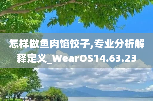 怎样做鱼肉馅饺子,专业分析解释定义_WearOS14.63.23