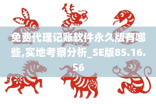 免费代理记账软件永久版有哪些,实地考察分析_SE版85.16.56