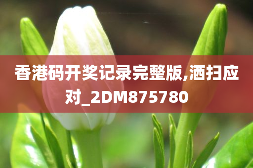 香港码开奖记录完整版,洒扫应对_2DM875780