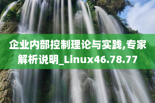 企业内部控制理论与实践,专家解析说明_Linux46.78.77