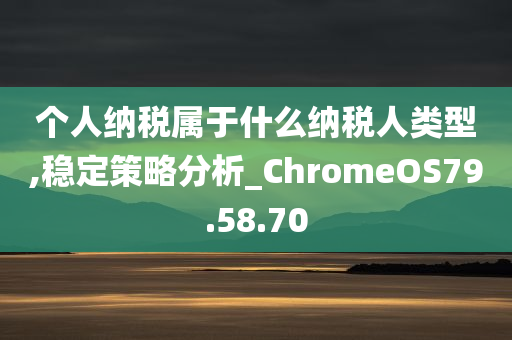 个人纳税属于什么纳税人类型,稳定策略分析_ChromeOS79.58.70