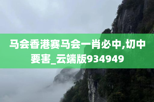 马会香港赛马会一肖必中,切中要害_云端版934949