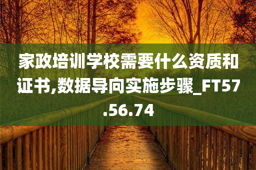 家政培训学校需要什么资质和证书,数据导向实施步骤_FT57.56.74