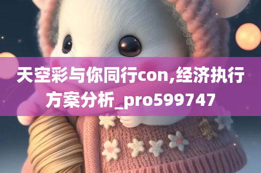 天空彩与你同行con,经济执行方案分析_pro599747