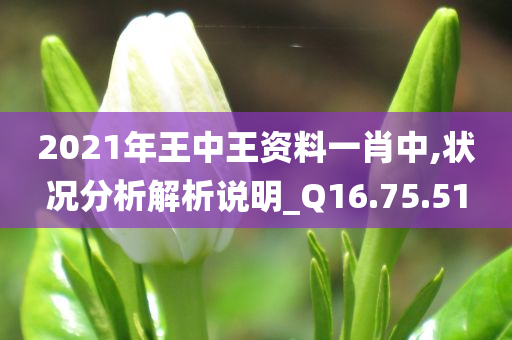 2021年王中王资料一肖中,状况分析解析说明_Q16.75.51