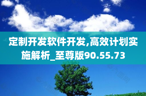 定制开发软件开发,高效计划实施解析_至尊版90.55.73