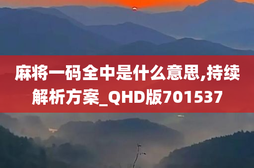 麻将一码全中是什么意思,持续解析方案_QHD版701537