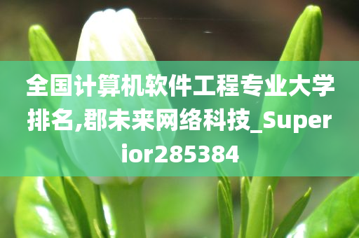 全国计算机软件工程专业大学排名,郡未来网络科技_Superior285384