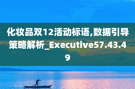 化妆品双12活动标语,数据引导策略解析_Executive57.43.49