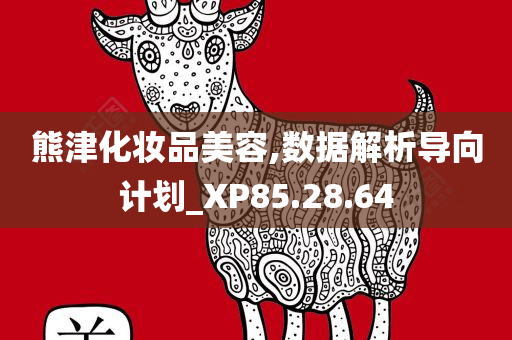 熊津化妆品美容,数据解析导向计划_XP85.28.64