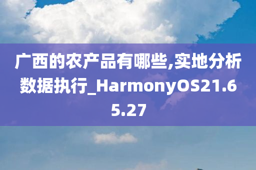 广西的农产品有哪些,实地分析数据执行_HarmonyOS21.65.27