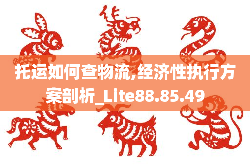 托运如何查物流,经济性执行方案剖析_Lite88.85.49