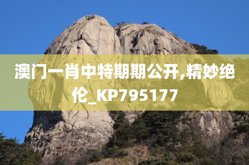 澳门一肖中特期期公开,精妙绝伦_KP795177