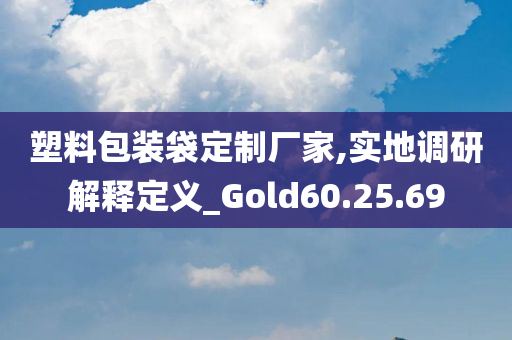 塑料包装袋定制厂家,实地调研解释定义_Gold60.25.69