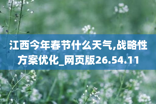 江西春节天气