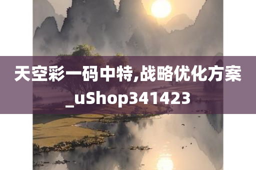 天空彩一码中特,战略优化方案_uShop341423