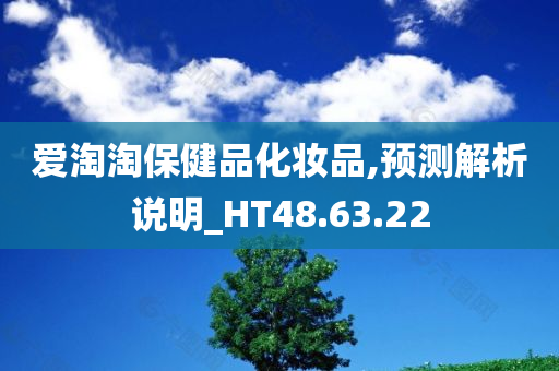 爱淘淘保健品化妆品,预测解析说明_HT48.63.22