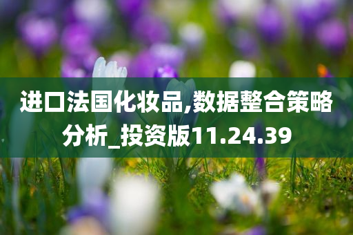 进口法国化妆品,数据整合策略分析_投资版11.24.39