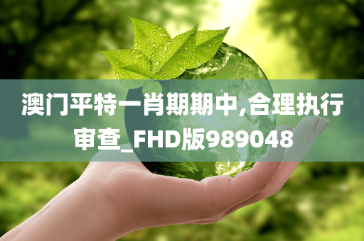 澳门平特一肖期期中,合理执行审查_FHD版989048