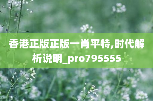 香港正版正版一肖平特,时代解析说明_pro795555