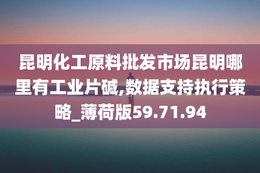 昆明化工原料批发市场昆明哪里有工业片碱,数据支持执行策略_薄荷版59.71.94