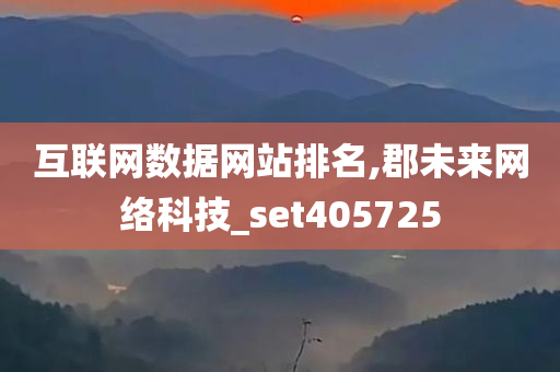 互联网数据网站排名,郡未来网络科技_set405725