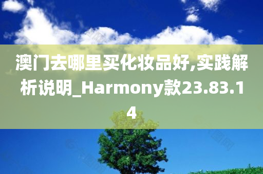 澳门去哪里买化妆品好,实践解析说明_Harmony款23.83.14