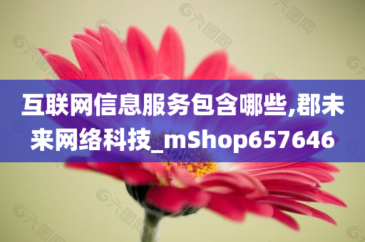 互联网信息服务包含哪些,郡未来网络科技_mShop657646