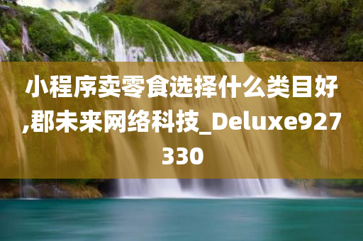 小程序卖零食选择什么类目好,郡未来网络科技_Deluxe927330