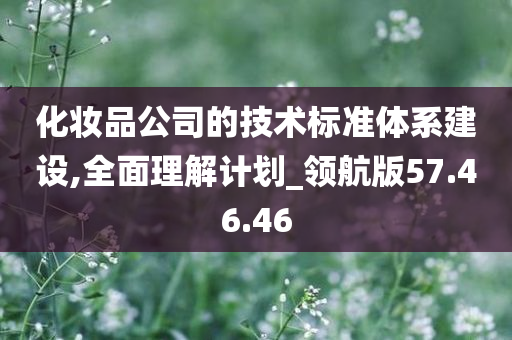 化妆品公司的技术标准体系建设,全面理解计划_领航版57.46.46