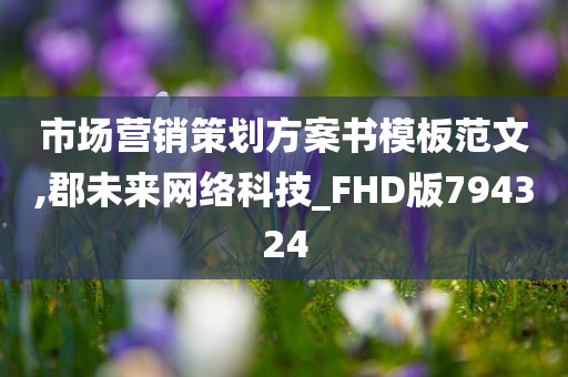 市场营销策划方案书模板范文,郡未来网络科技_FHD版794324