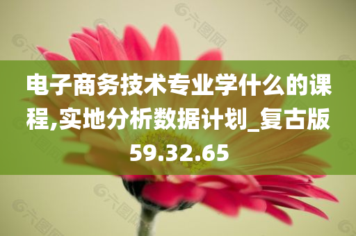 电子商务技术专业学什么的课程,实地分析数据计划_复古版59.32.65