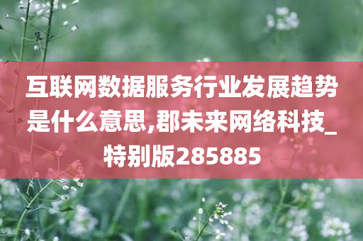 互联网数据服务行业发展趋势是什么意思,郡未来网络科技_特别版285885