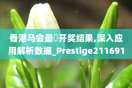 香港马会最佒开奖结果,深入应用解析数据_Prestige211691