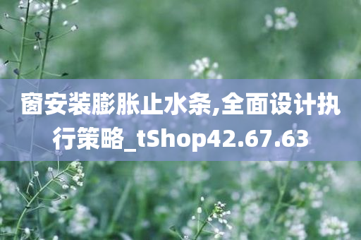 窗安装膨胀止水条,全面设计执行策略_tShop42.67.63