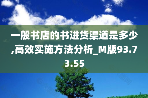 一般书店的书进货渠道是多少,高效实施方法分析_M版93.73.55