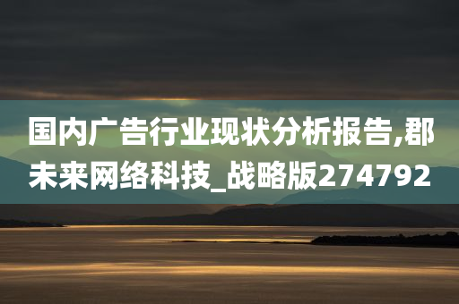 国内广告行业现状分析报告,郡未来网络科技_战略版274792