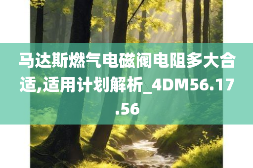 马达斯燃气电磁阀电阻多大合适,适用计划解析_4DM56.17.56