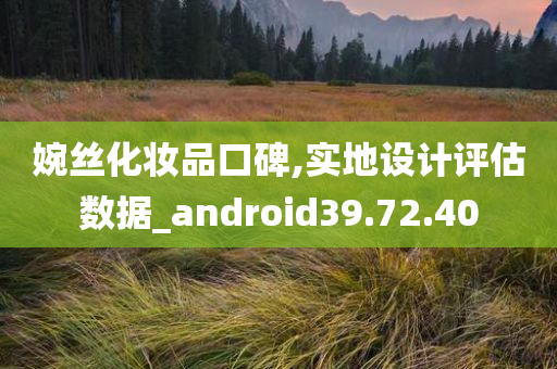 婉丝化妆品口碑,实地设计评估数据_android39.72.40