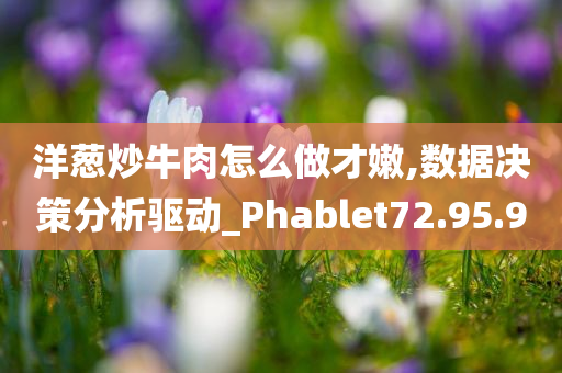 洋葱炒牛肉怎么做才嫩,数据决策分析驱动_Phablet72.95.90