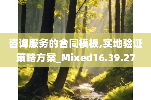 咨询服务的合同模板,实地验证策略方案_Mixed16.39.27