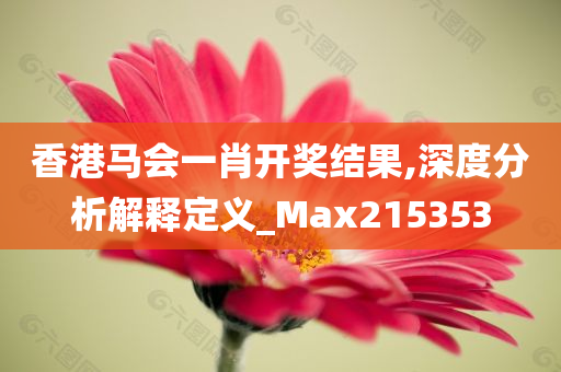 香港马会一肖开奖结果,深度分析解释定义_Max215353