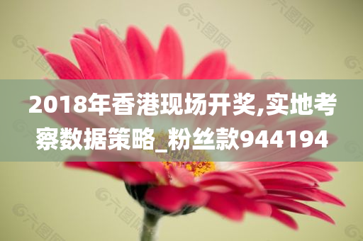 2018年香港现场开奖,实地考察数据策略_粉丝款944194