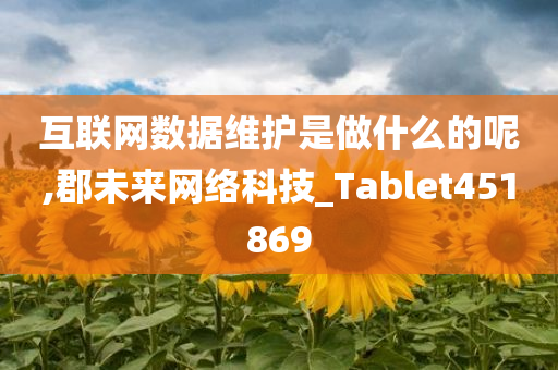 互联网数据维护是做什么的呢,郡未来网络科技_Tablet451869