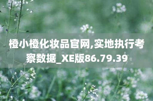 橙小橙化妆品官网,实地执行考察数据_XE版86.79.39