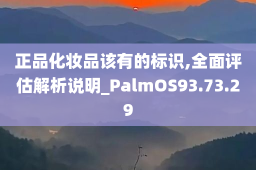 正品化妆品该有的标识,全面评估解析说明_PalmOS93.73.29