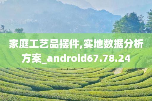 家庭工艺品摆件,实地数据分析方案_android67.78.24